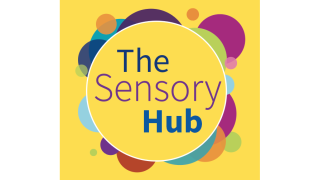 Aviva Ireland launch Sensory Hub at Aviva Stadium