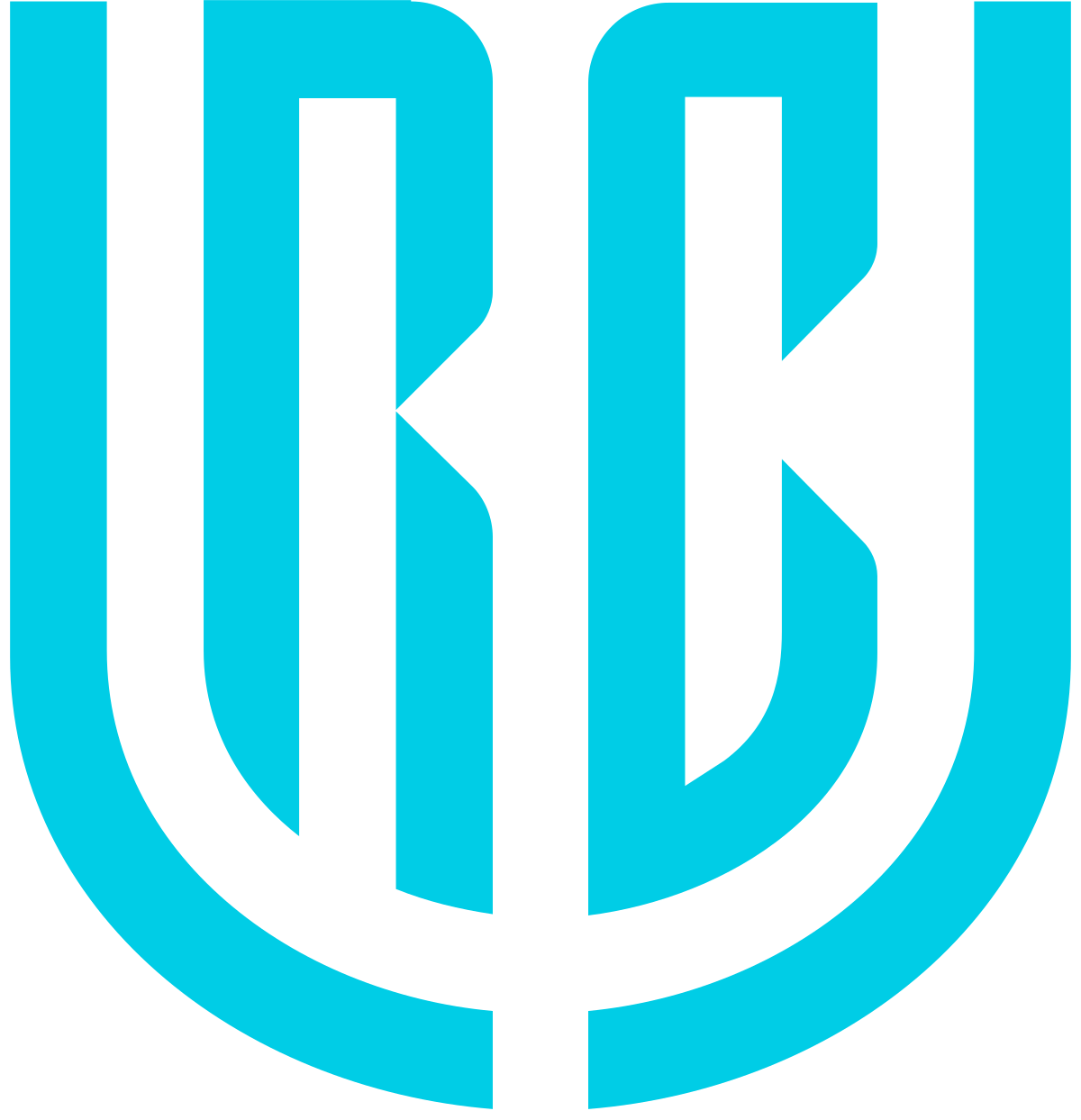 BKT United Rugby Championship - Leinster v Lions